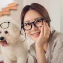 코리아안경 이미지