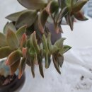 성베드로한방병원 이미지