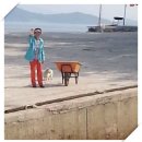 우도 교회 옆 이미지