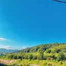 물안뜰민박 이미지