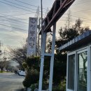 청룡식당 이미지