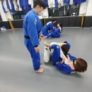 태전 유도 멀티짐 이미지