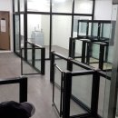 온양애견미용 이미지