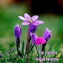 선의 이미지