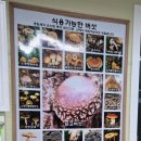 곰실농원체험장