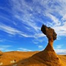 센스여행사(주) 네이버블로그