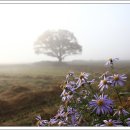 원정리마을회관 이미지