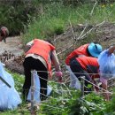 유달자원환경 이미지