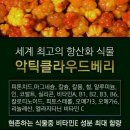 비사이 콜라겐 이미지