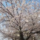 뫼골공원 이미지