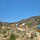 예사랑민박 이미지