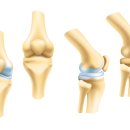 21세기경희한의원 이미지