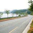 인곡리도로변 Daum카페
