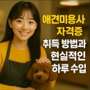 애견미용사 자격증 취득 방법과 현실적인 하루 수입