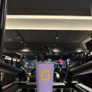 시너지 짐 | 테니스 실력 확 올라간 이유? 테니스바이브 더코트 + 워크온짐 1:1 PT 후기 (feat.시너지 목동PT 신월동PT)