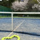 백운포체육공원(테니스장앞) | 백운포체육공원 테니스장 레슨 13,14주 차 - 대한민국은 우기가 분명해..!