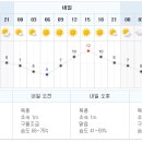 내일 날씨도 좋네요~ 모두 참석하길 희망합니다... 이미지