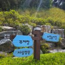 부산 숲놀이터 사상근린공원 에어바운스 바닥분수