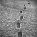 행복한 발자국 이미지