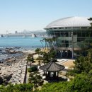 마루하우스 이미지