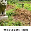 효자동 박태성정려비및묘 이미지