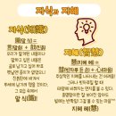 한자야, 놀자 이미지