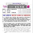 2025년도 부산 시내버스 노선 개편 이미지