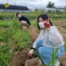 푸르메농장 이미지