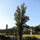 (주)미류가 이미지