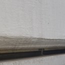 장기초록나라 이미지