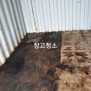 아라육로 이미지