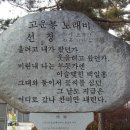 3월 1주(6일) 제95차 용봉산(충남 홍성) 산행 이미지