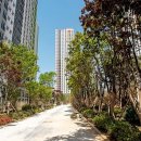 랜드마크시티1호체육공원-2 이미지