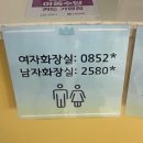 두타동물병원 | 24일차 신생아 설소대 제거시술. 성남 구름별소아청소년과에서. 윤서는 몹시 울었다,,