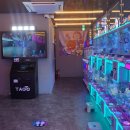 레인보우 캐슬 이미지