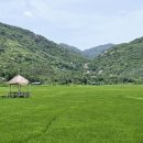 원두막목장 이미지