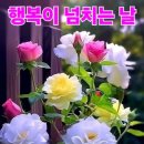 사색 이미지