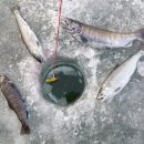 산천어길 이미지