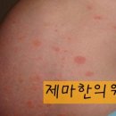 제마한의원 이미지