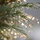 씨유무주하조사거리점 | 재개발 지역 입주권 투자 가치 분석 방법