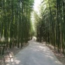 압화&보존화공예 이미지