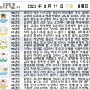 2023년 8월 11일 운세 및 세상 소식 이미지