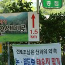 온세미로 이미지