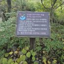 여주-0642 이미지