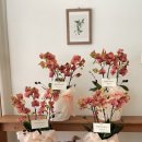 승진농장 이미지