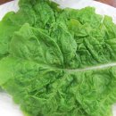 옛날땡땡이상추튀김 이미지