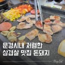 돈돼지돈