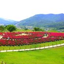 의성조문국사적지 이미지