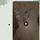 묘한쉼터 이미지