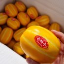 형제청과 이미지